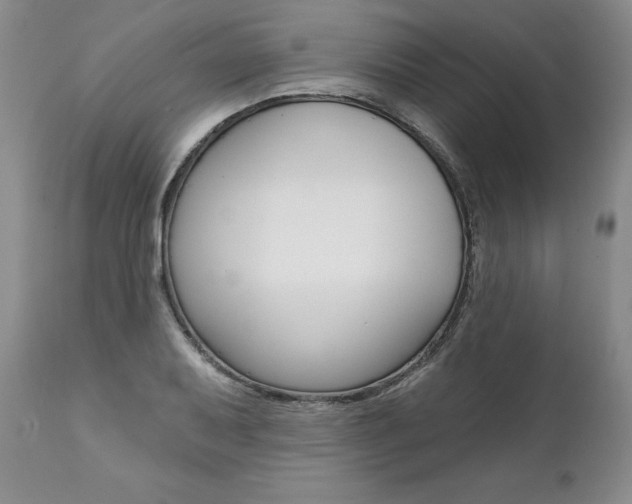 X0000112001079200908031040