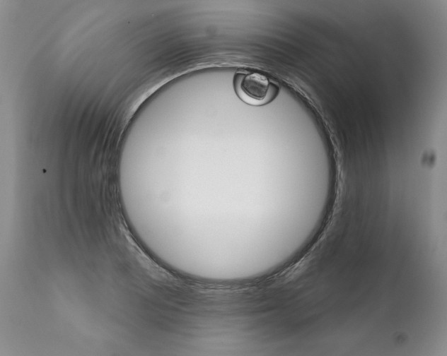 X0000112001081200908031040