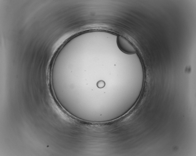 X0000112001082200908031040