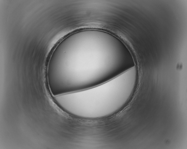 X0000112001085200908031040
