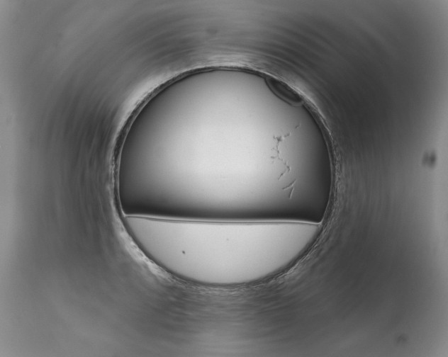 X0000112001088200908031040