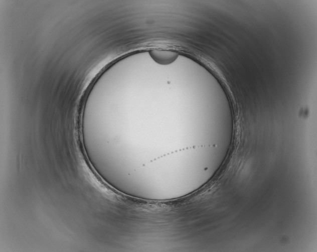 X0000112001091200908031040