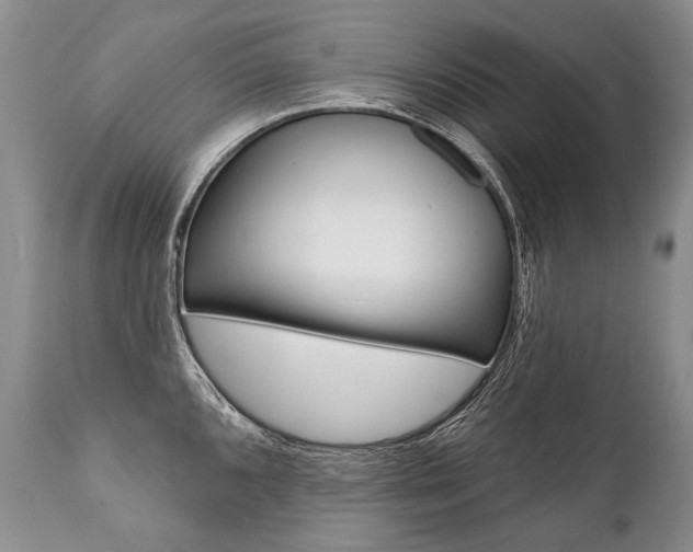 X0000112001096200908031040