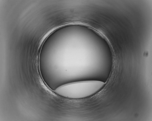 X0000112001100200908031040