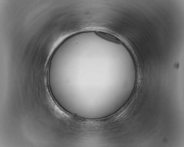 X0000112001102200908031040