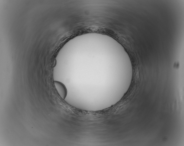 X0000112001105200908031039