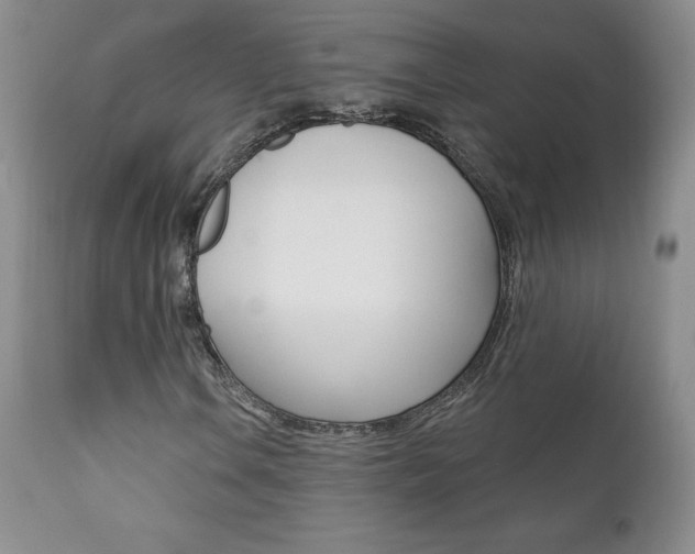 X0000112001106200908031039