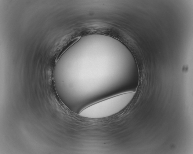 X0000112001108200908031039