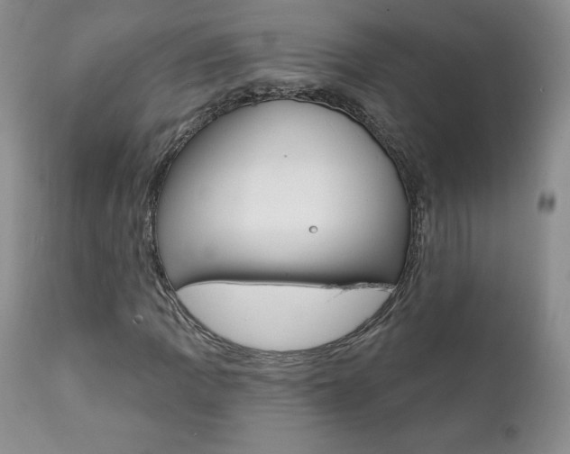 X0000112001109200908031039
