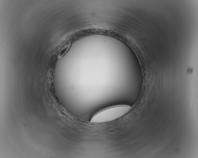X0000112001110200908031039