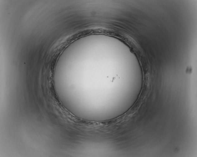 X0000112001111200908031039