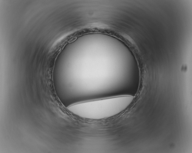 X0000112001112200908031039