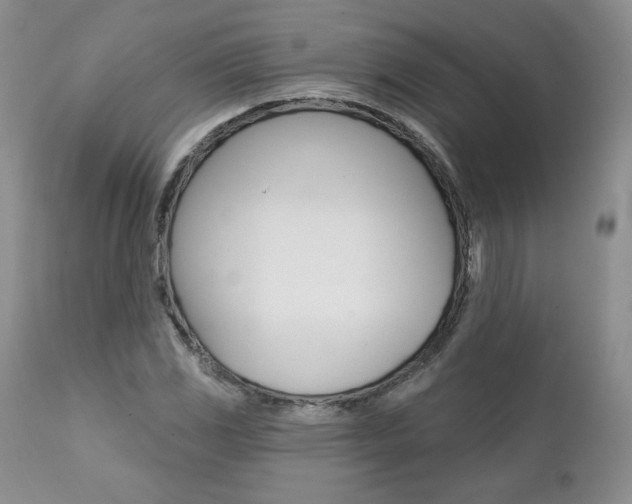 X0000112001117200908031039