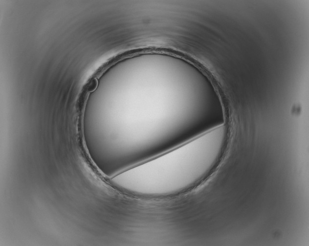 X0000112001118200908031039