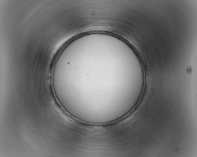 X0000112001119200908031040