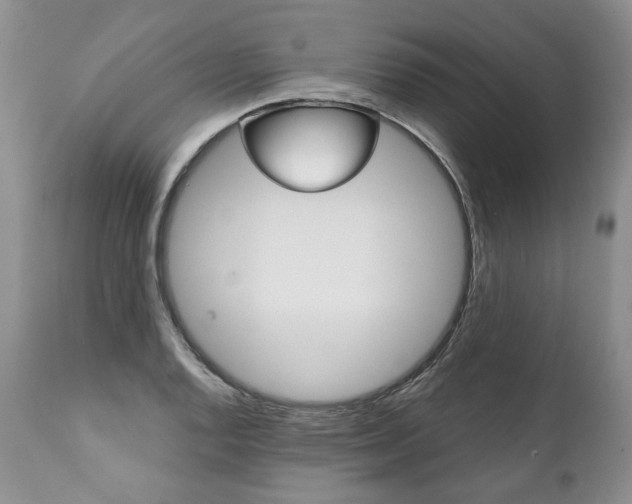 X0000112001128200908031040