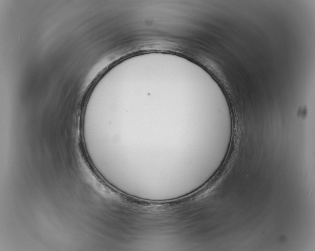 X0000112001130200908031040