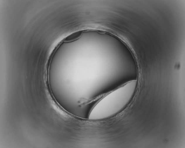 X0000112001136200908031040