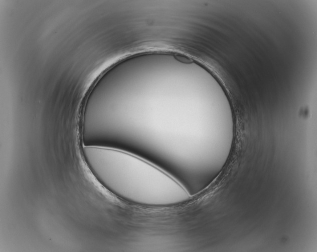 X0000112001142200908031040