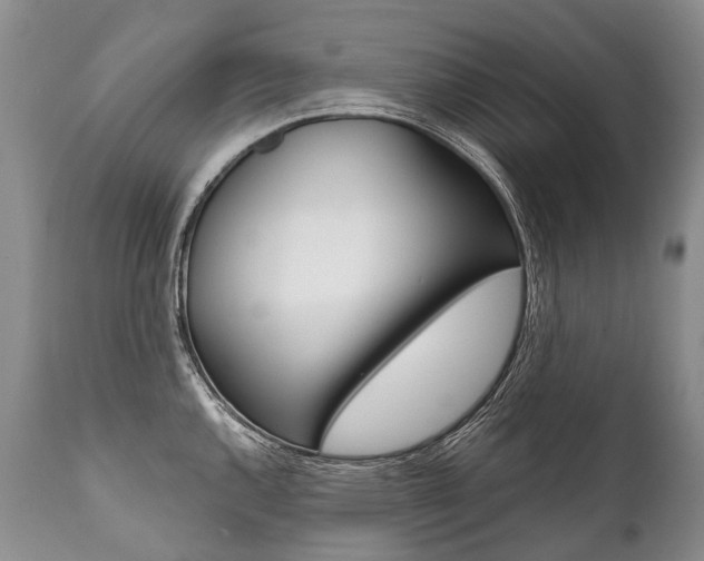 X0000112001144200908031040