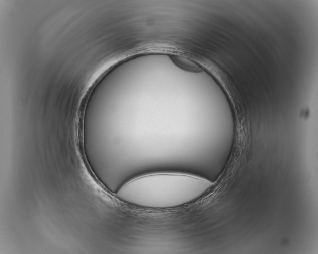 X0000112001147200908031040