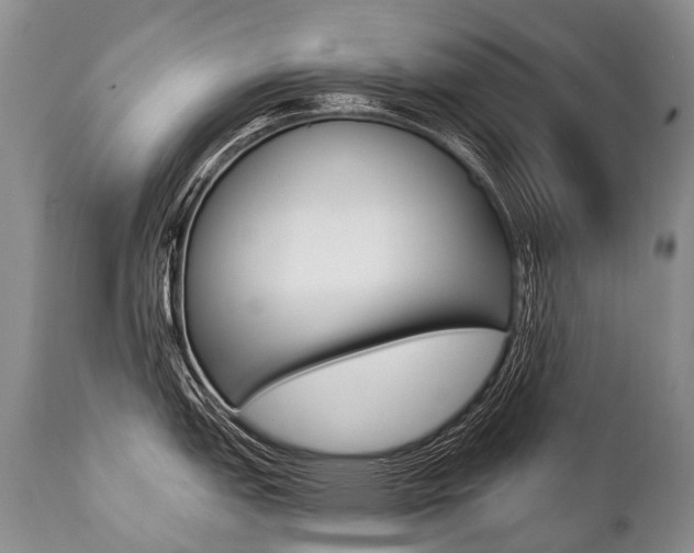 X0000112001151200908031040
