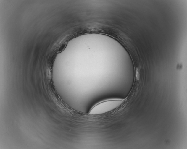X0000112001155200908031039