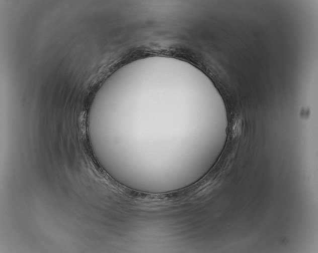 X0000112001156200908031039