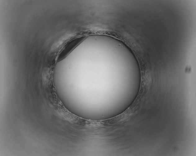 X0000112001157200908031039