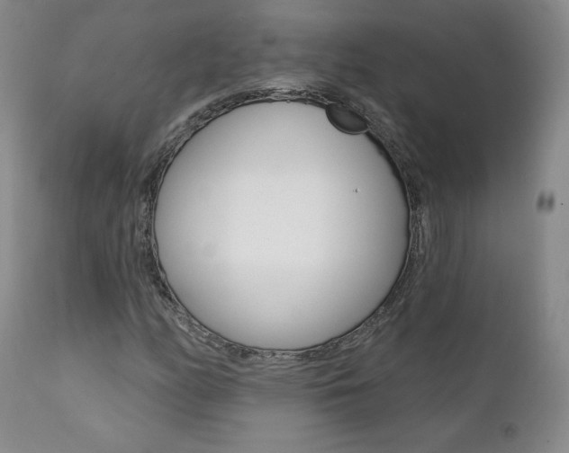 X0000112001158200908031039