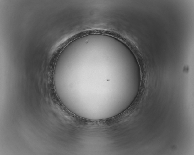 X0000112001159200908031039