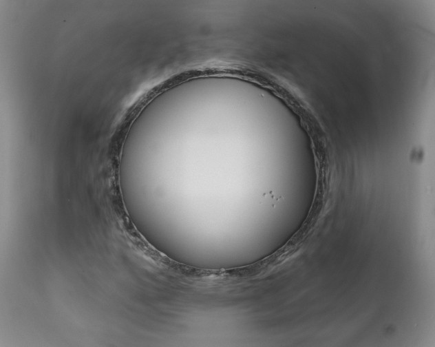 X0000112001160200908031039