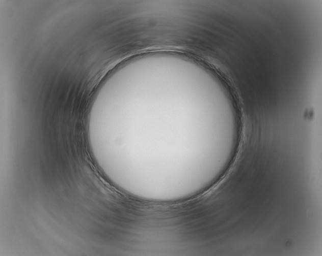 X0000112001161200908031039