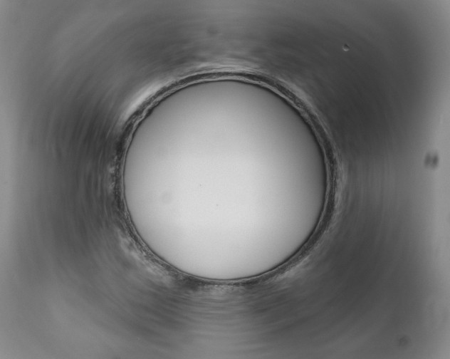 X0000112001163200908031039