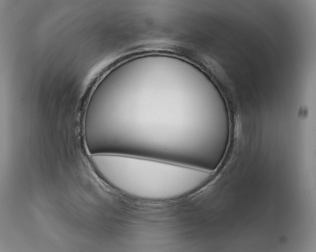 X0000112001164200908031039