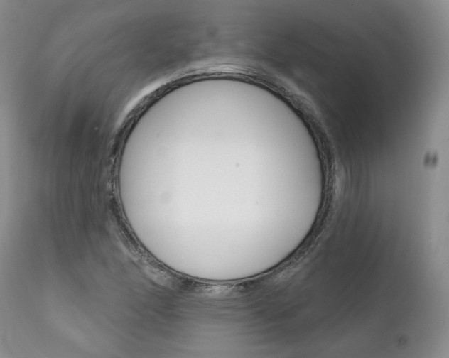 X0000112001166200908031039
