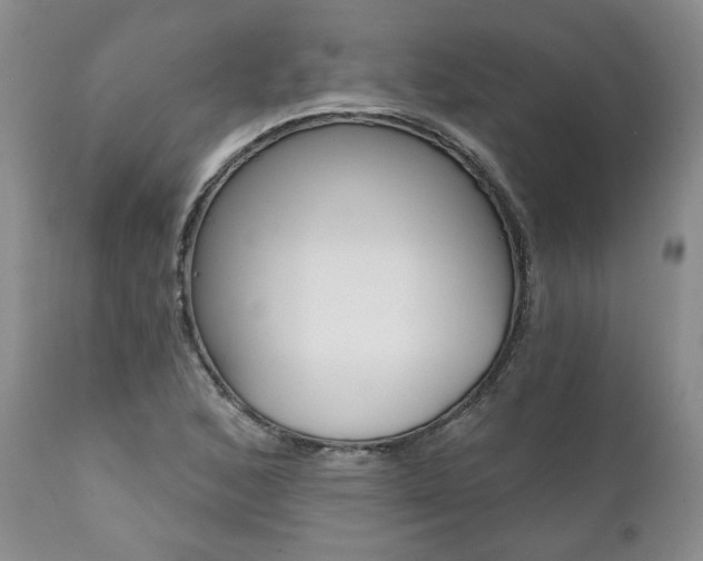 X0000112001168200908031039