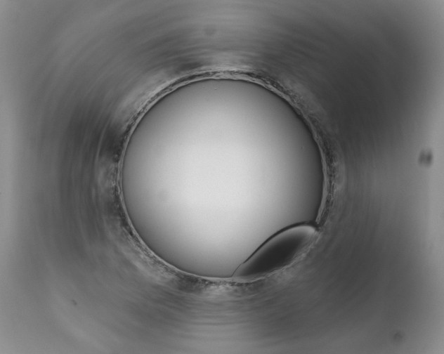 X0000112001169200908031039