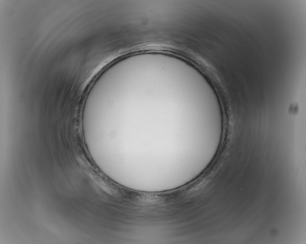X0000112001170200908031039