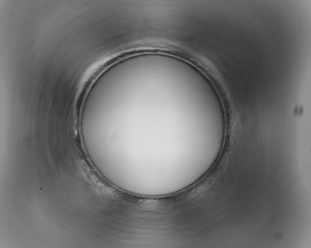 X0000112001172200908031039