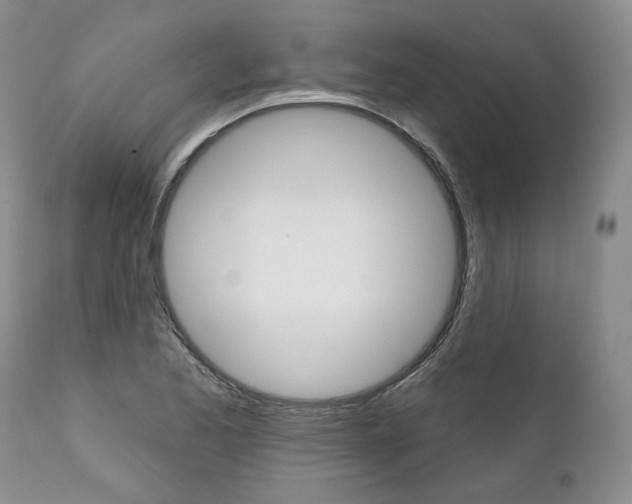 X0000112001173200908031039
