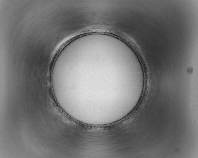 X0000112001174200908031039