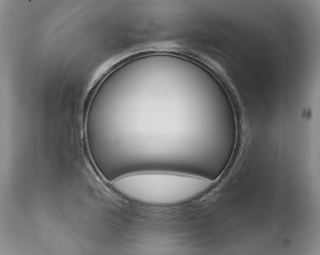 X0000112001176200908031039