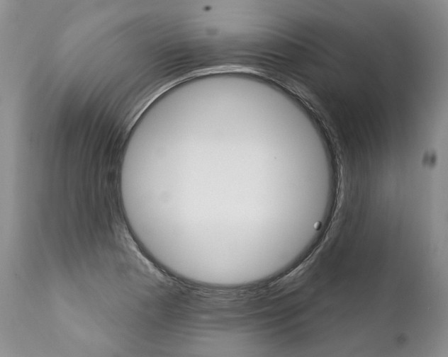 X0000112001177200908031039