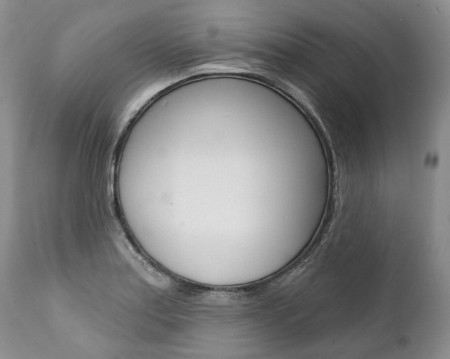 X0000112001179200908031039