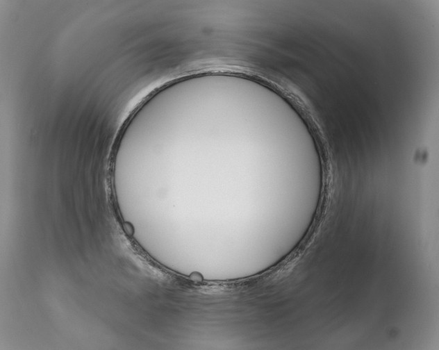 X0000112001182200908031039