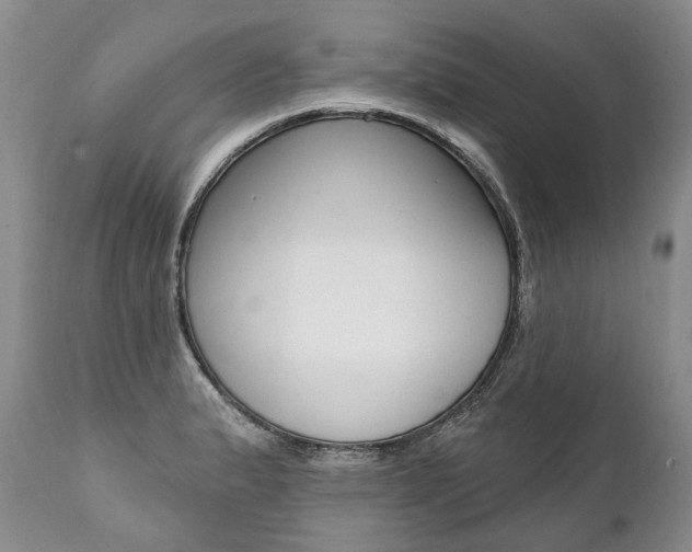 X0000112001183200908031039