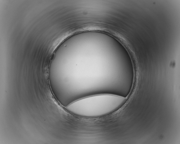 X0000112001185200908031039