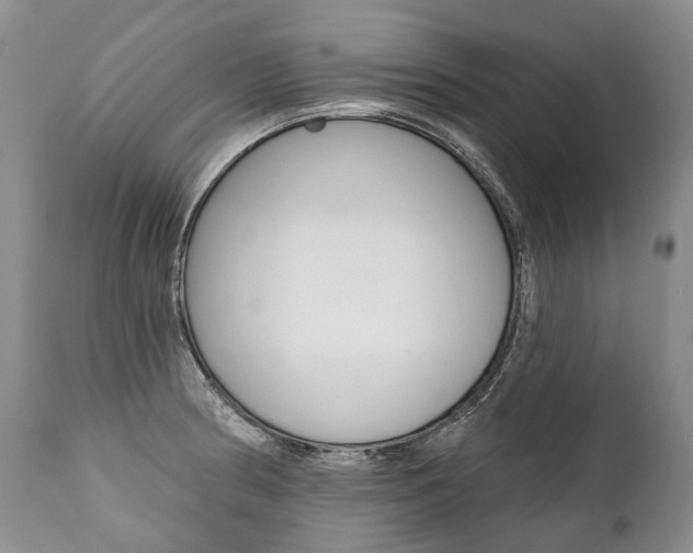 X0000112001186200908031039