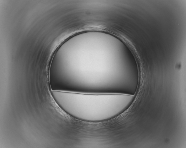 X0000112001192200908031039